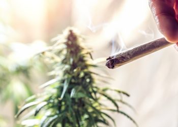 Staatsanwälte in Bayern jammern über Cannabis-Amnestien