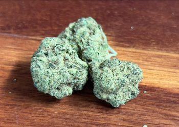 Medizinalcannabis Strain Review: avaay SIMPLE 23/1 CHM – Chem OG