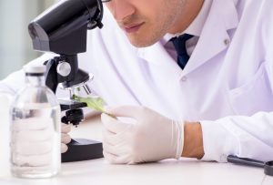 THCPO - Yüksek Potensiyelli Yeni Bir Cannabinoid