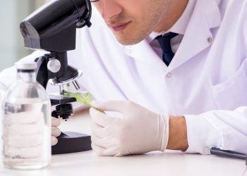 THCPO – ein neues, hochpotentes Cannabinoid