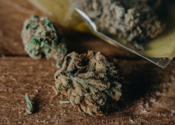 Was kostet Gras im Cannabis-Anbauclub? 