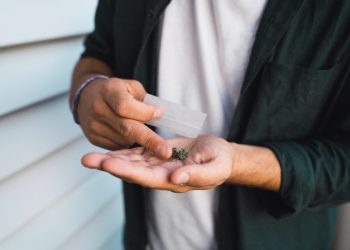 Deutschland nach der Cannabis-Entkriminalisierung: Eine Bilanz