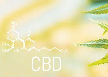 Die Bedeutung der PPAR-Rezeptoren im Endocannabinoidsystem