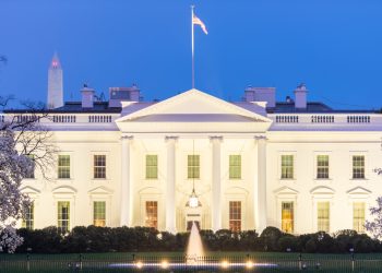 Harris plant bundesweite Cannabis-Legalisierung nach Wahlsieg