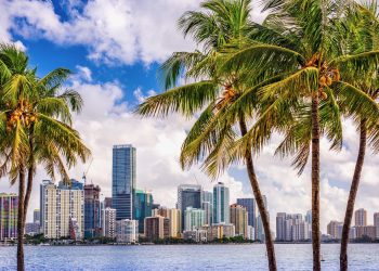 Zwei Drittel der Wähler in Florida wollen die Legalisierung