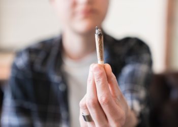 Aktuelle Umfrage zur Legalisierung in Deutschland