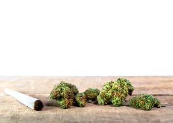 Geringe Menge THC: Amtsgericht stellt sich gegen BGH