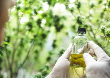 Hanföl mit CBD als Booster für die Wundheilung