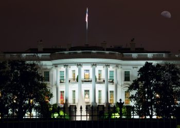 Kaum Aussicht auf Legalisierung in Trumps Amtszeit