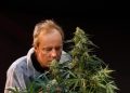 Die Paradise Seeds Geschichte: 30 Jahre erstklassige Cannabis-Genetik