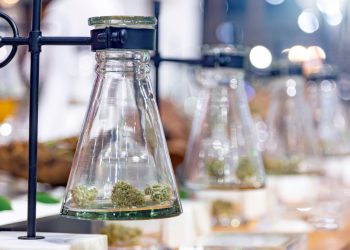 Hannover: Modellprojekt zum Cannabis kaufen ab 2025
