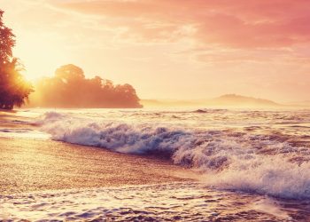 Costa Rica: Verfassungsgericht lehnt Cannabis-Legalisierung ab