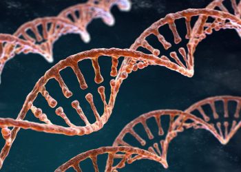 Aktuelle Forschung zur Wirkung von Hanfkonsum auf das Erbgut