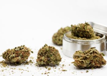 Das Cannabis-Barometer: Der Bloomwell Medizinalcannabis-Report
