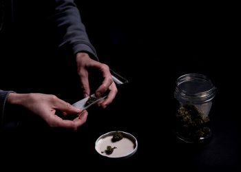 Auswirkungen der politischen Lage in Österreich auf die Cannabispolitik