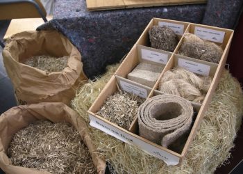 Bauen mit Hanf: Hochschule will höher hinauf