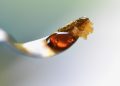 Cannabis Dabbing: Riskant für die Lunge?