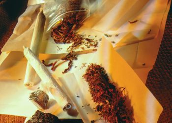 Cannabis vom Schwarzmarkt – eine aktuelle Qualitätsanalyse