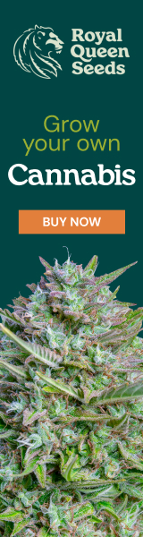 HanfMagazine_160x600-1