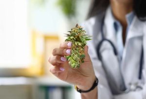 Tıbbi Cannabis Güvenliğe İhtiyaç Duyuyor - DoktorABC