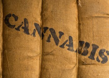 Medropharm gelingt erster Medizinalhasch Export aus Marokko