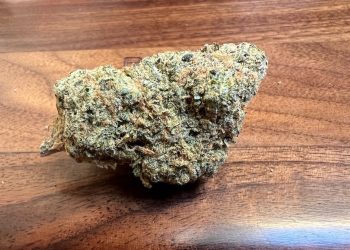 Medizinalcannabis Strain Review: avaay 22/1 PNK – Pineapple Nuken