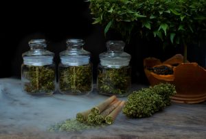 Коалиционные переговоры: будет ли отмена CanG?