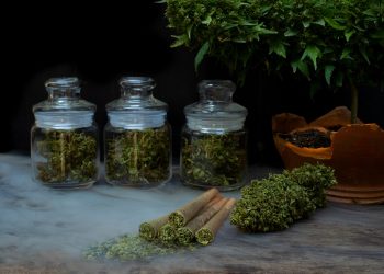 Koalitionsgespräche: Gibt es eine Einigung über CanG-Rücknahme?