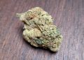 Medizinalcannabis Strain Review: avaay AHC 32/1-Amnesia Haze Cake