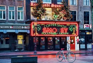 Modellprojekt Niederlande: 80 Coffeeshops verkaufen nur noch legales Gras
