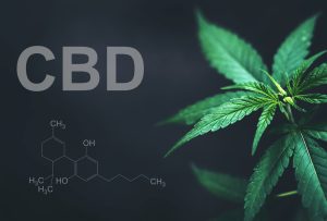 Warum CBD bei dir nicht wirkt – und was du dagegen tun kannst!