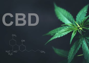 Warum CBD bei dir nicht wirkt – und was du dagegen tun kannst!