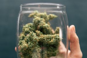 CBD-Blüten in Österreich – der Rechtsstreit geht weiter