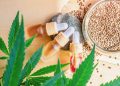 CBD verstehen: Wirkung, Anwendung und Erfahrungswerte
