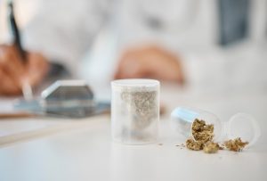 Cannabis Medicinal: Por Que a Europa Observa a Alemanha