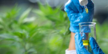 Cannabinoid-Extraktion: Neue Verfahren und ihre medizinische Wirkung