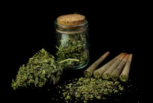 Bestseller: ABD'de "Mini Joint" Çılgınlığı ve Trendinin Yükselişi
