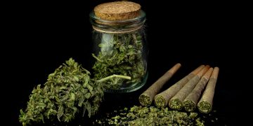 Bestseller: Der Hype um Cannabis „Mini Joints“ in den USA