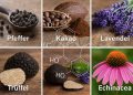 Cannabinoide ohne Hanf: Was Pflanzen wie Kakao, Pfeffer und Lavendel bewirken