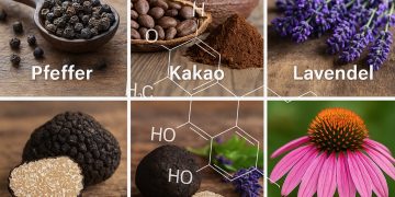 Cannabinoide ohne Hanf: Was Pflanzen wie Kakao, Pfeffer und Lavendel bewirken