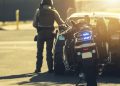 CBD-Blüten legal, Führerschein weg? Neue Studien belegen drastische Risiken