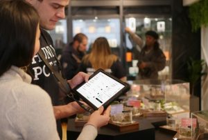 Cannanas - CSC Software vom Steckling bis zur Theke