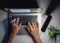 Deutschland plant Verbot von Hanf im Online-Handel