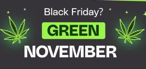 Green November statt Black Friday – DoktorABC