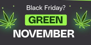 Green November statt Black Friday – DoktorABC