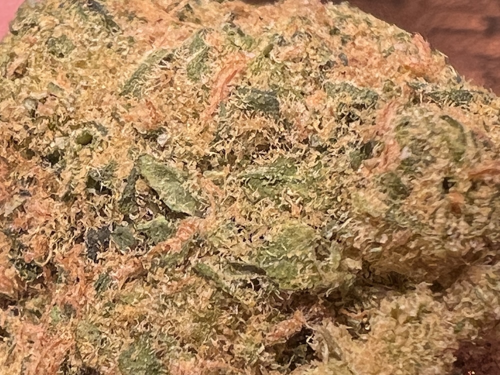 Medizinalcannabis-Strain-Review-Zoiks-261-LK-OG-Lime-Kush_4