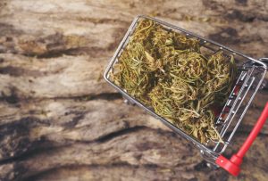 Übergangslösung für CBD-Blüten in Österreich bis 2028