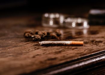 Gefährliche Mischung: Wie Tabak die Wirkung von Hanf verändert