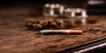 Gefährliche Mischung: Wie Tabak die Wirkung von Hanf verändert