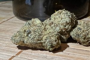 Medizinalcannabis Strain Review: avaay Signature 29/1 OGC - Ocean Grown Cookies